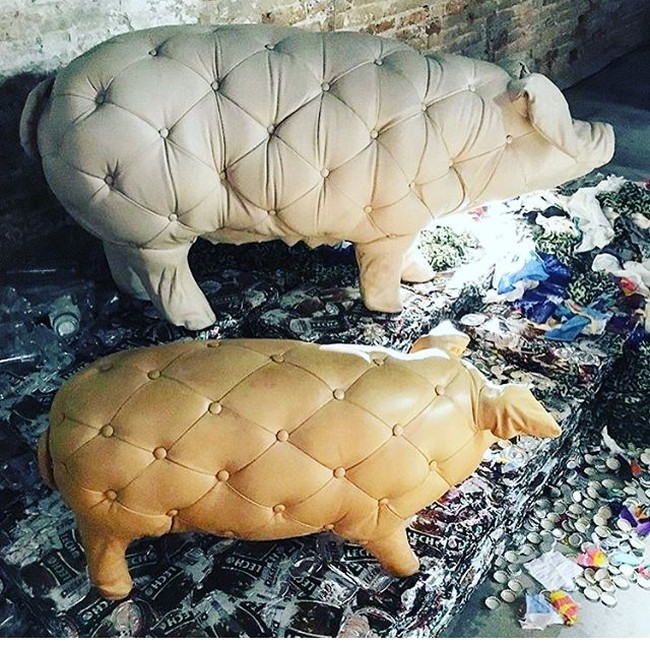 Свинки-кушетки
